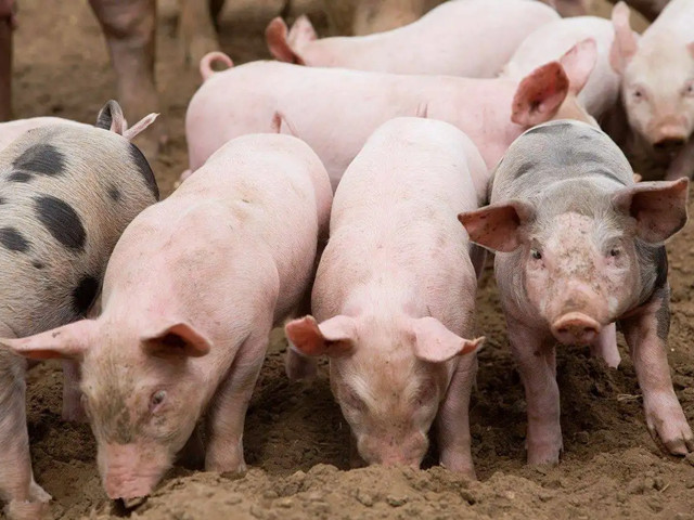 ＾ҪעʲôƺҪһҪĵ