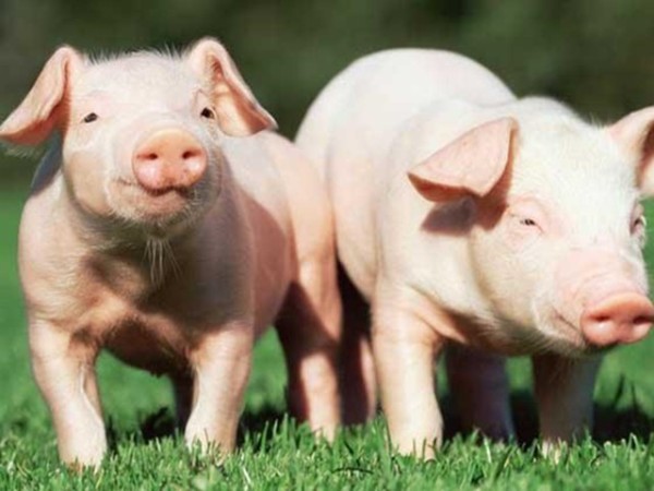 ʰʹʲôôбҪȫ