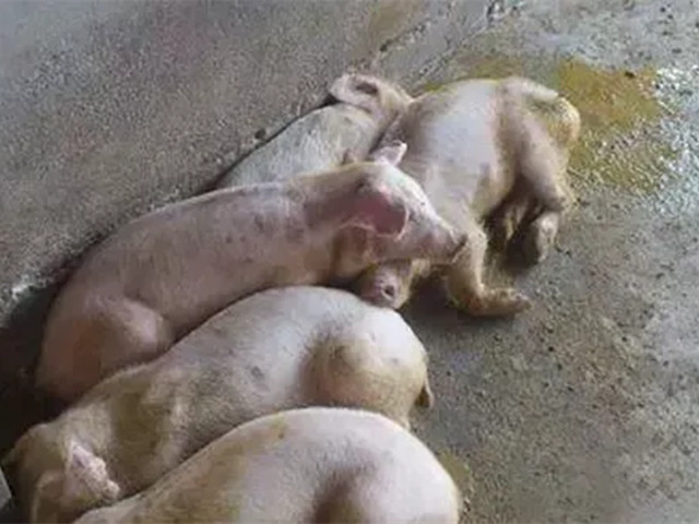 2022궬к֢״ղأ